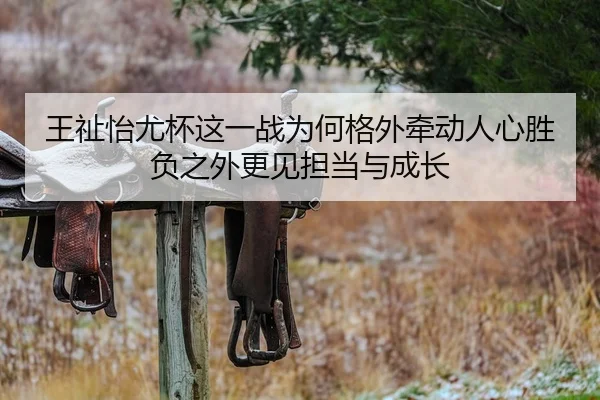 王祉怡尤杯这一战为何格外牵动人心胜负之外更见担当与成长